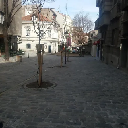 Center Guest house
